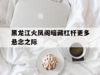 半岛体育登入-包含黑龙江火凤阁暗藏杠杆更多悬念之际的词条