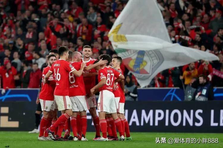 包含大洋洲明星球员成绩喜人，迎来事业高峰的词条