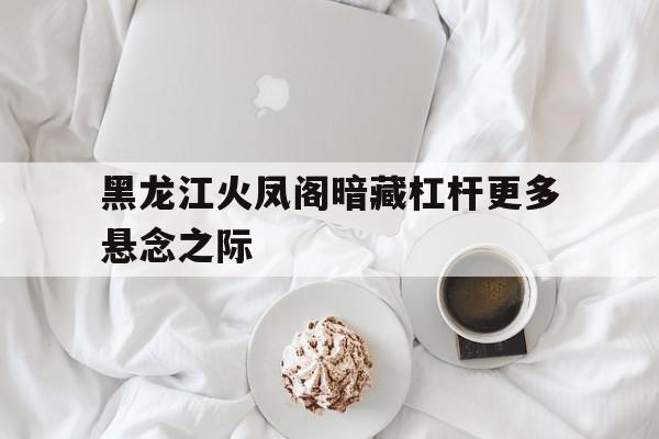 包含黑龙江火凤阁暗藏杠杆更多悬念之际的词条
